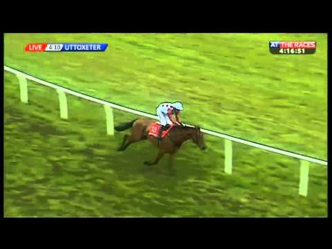 firebird flyer betfred midlands grand national 2016 youtube firebird flyer