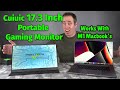 CUIUIC 17.3 in 1080p Portable Gaming Monitor - It&#39;s Huge!