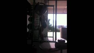 Melissa Cube Week 4 Speed Squats