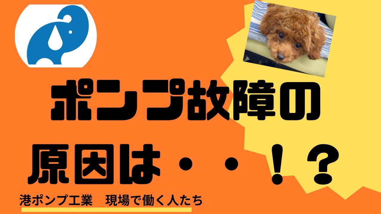 ポンプが壊れた！？~ベテラン社員によるモーター分解～ - YouTube