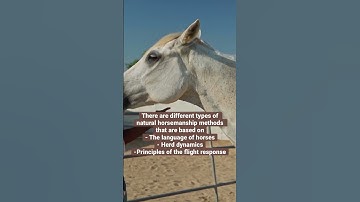 HorsePeople & NaturalHorsemanship: Monty Roberts #horse #naturalhorsemanship #montyroberts #pexels
