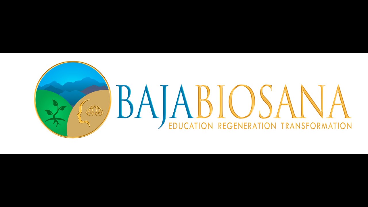 Picture of 10 off-grid homes for a self-sufficient lifestyle - Dezeen