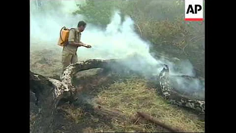 BRAZIL: MASSIVE FOREST FIRES CONTINUE TO THREATEN THE AMAZON