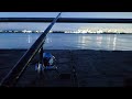 夜釣りする【朝まで】#夜釣り #釣り #fishing