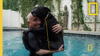Teaching a Fixated Dog to Focus | Cesar Millan: Better Human Better Dog