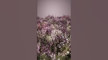 Make Plants Move Using Geo Nodes Blender Tutorial #blender #blendertutorial #blender3d #3danimation