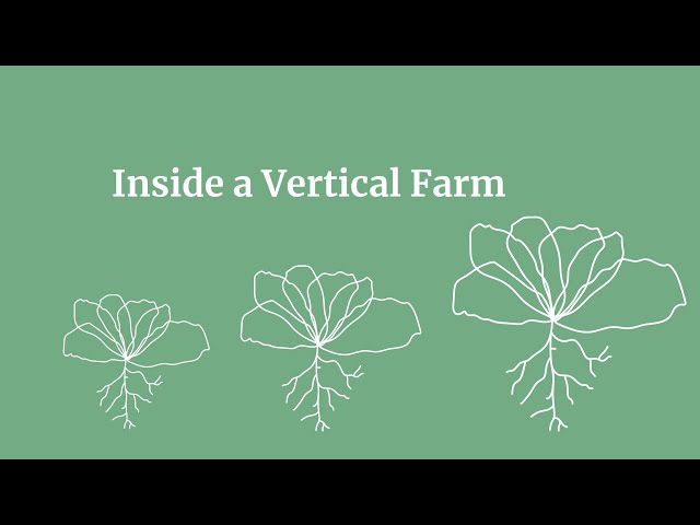 Inside a Vertical Farm class=