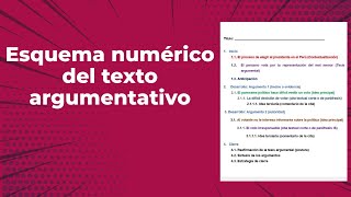 Esquema numérico del texto argumentativo