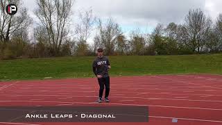 MJ Mercury Circuit