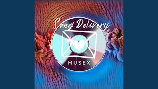 Song Delivery screenshot 5