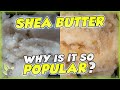 Yellow -vs- White Shea Butter | NATURAL HAIR