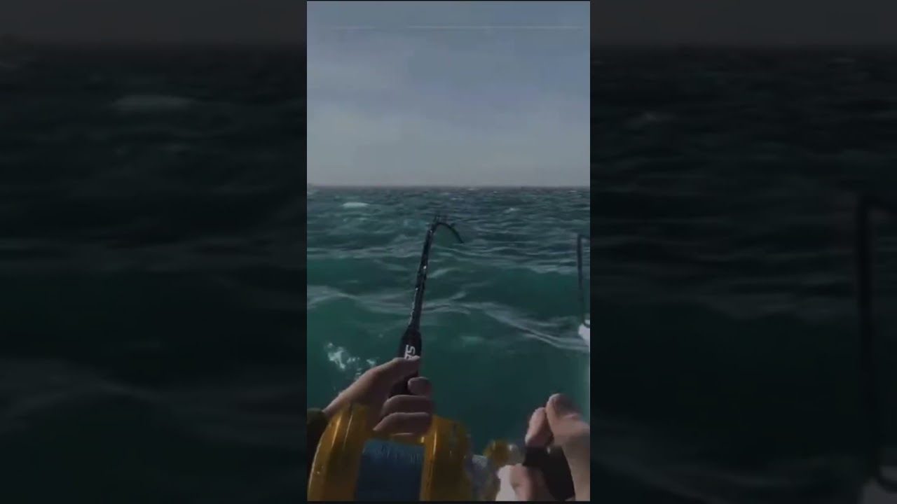 I GOT HIT BY A SAILBOAT! 