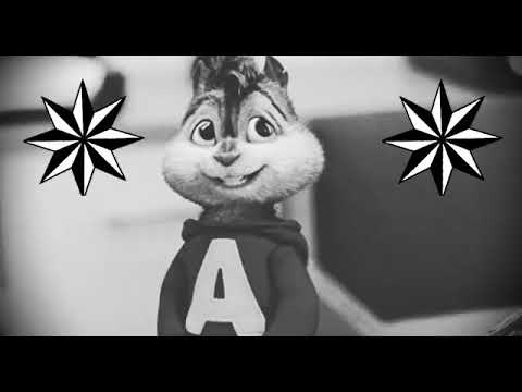 Alvin dolya super