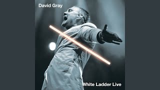 This Year's Love (Live)