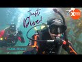 BUCEO con TRAJE SECO Canal Beagle! 🤿 How to dive in DRY SUIT Beagle Channel! 🦀 Ushuaia - Patagonia