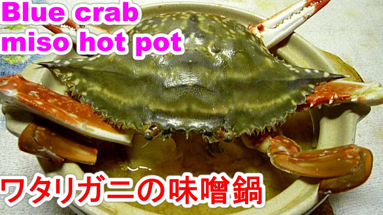 Blue Crab Miso Hot Pot旨い出汁が出るワタリガニの味噌鍋を旨く作る４point Youtube