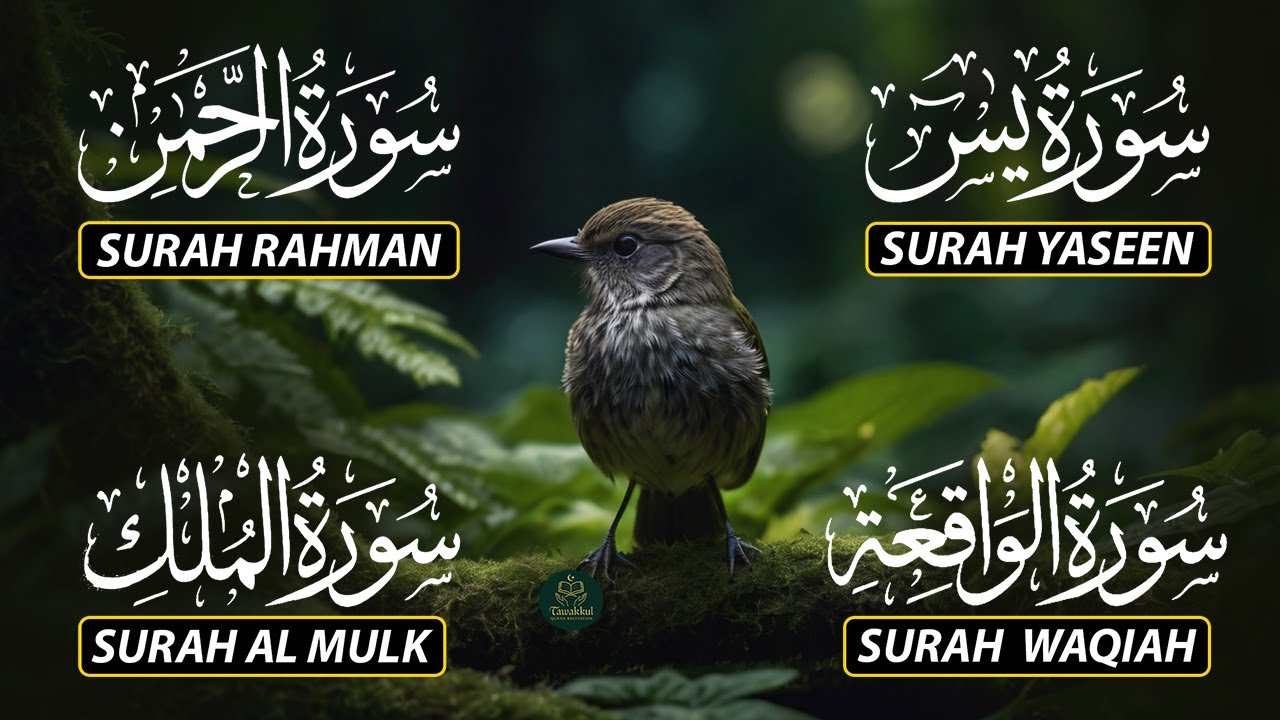 Magical Recitation Surah Yaseen (Yasin) | Surah Rahman | Surah Waqiah | Surah Mulk