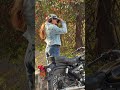 #trending #dabasvlogs #bullet #janvidabas #viral #bulletlover #shortsviral #shortsfeed #dabasvlogs