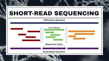 Short-Read Sequencing Explained: Illumina, PacBio Onso, Applications & Limitations | NGS Short Reads