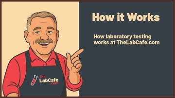 How Lab Testing Works at TheLabCafe.com