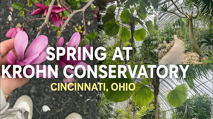 Blooming Paradise in Cincinnati! Step Inside Krohn Conservatory This Spring