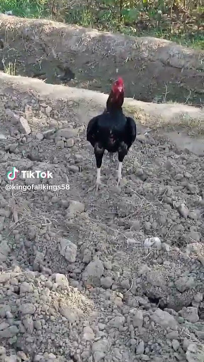 5b78b879178007edca001fedc44d0a25 1753930954551