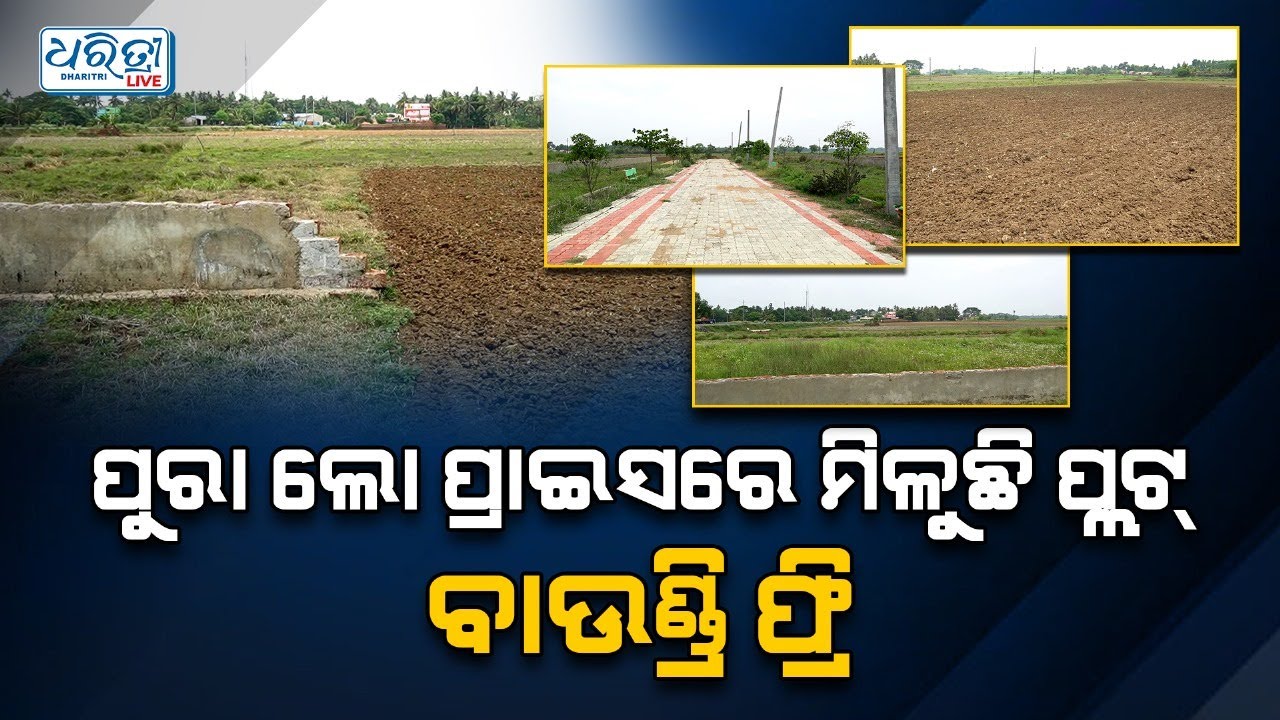 ଧମାକାଦାର ଅଫର ସହ ପ୍ଲଟ ଆଣିଛି ତ୍ରିଶକ୍ତି ଡେଭଲପର୍ସ | Trishakti Developers | Plot For Sale | Dharitri Live
