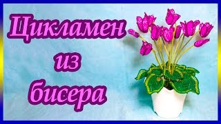 Цикламен из бисера. Мастер-класс.