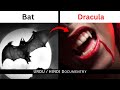 Some unknown facts about bats  types of bats  urduhindi  info family