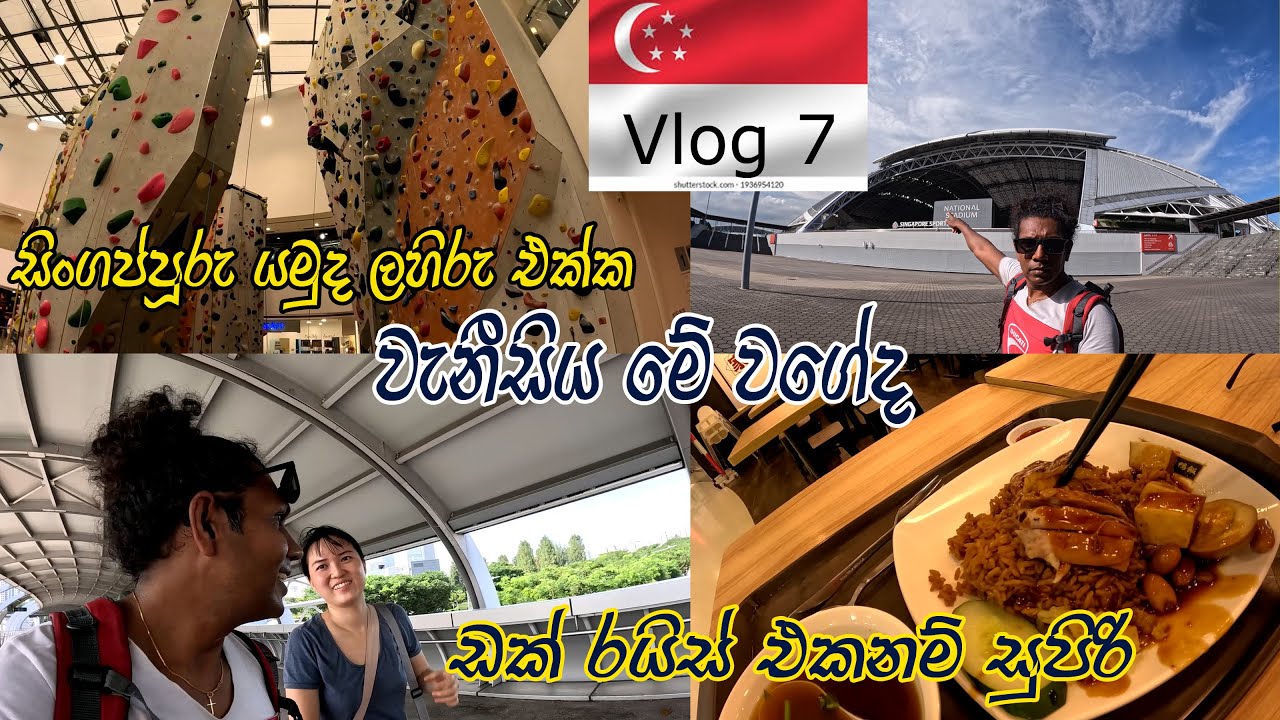 Special Braised Duck Rice එකනම් රසයි  😍🍽National Stadium, Singapore 👍ගොඩක් අය ගිහින් නැති පැත්තක්