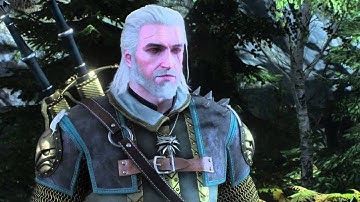 The Witcher 3: Wild Hunt merchant  bug