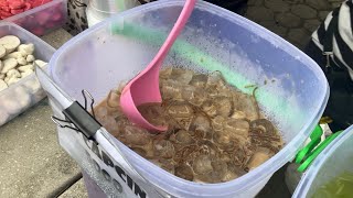 Download Lagu Iced Cappuccino | Street Drink | Es Capucino Cincau MP3