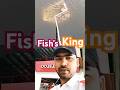 fish's king small fish 🐠 #fish #fishing #ikan #mancing #nice#happy #viral #video #shortvideo #thanks