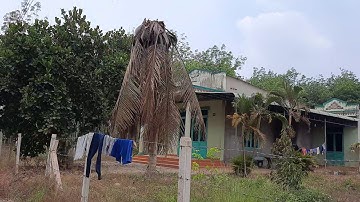 Bán đất Minh Tân xây nhà yến quá đỉnh .Lh 0935163791 (zalo Linh Nguyễn)