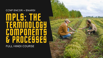 117. CCNP Encore + Enarsi | MPLS - Terminology, Components & Processes | CCNP Full Course in Hindi