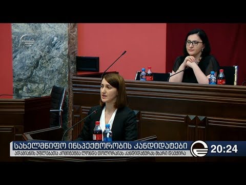 ადამიანის უფლებათა დაცვის კომიტეტმა ლონდა თოლორაიას კანდიდატურას დაუჭირა