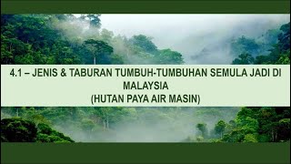 Geo on 🌎 the GO | Geo T3 | Bab 4 | 4.1 (Hutan Paya Air Masin)-No Voice Over