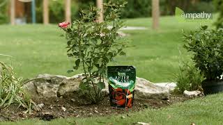 Rootgrow Mycorrhizal Fungi