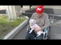 じいちゃんとハナの10日ぶりの再会 音楽あり