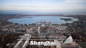 The Southeastern Edge | Aerial View of Shanghai Nanhui 2023