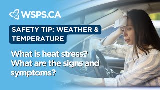 What is heat stress What are the signs and symptoms