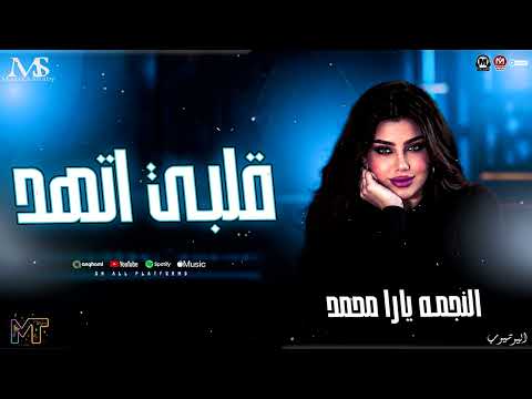 كوكتيل رايق اوي 2026 ( قلبي اتهد ) النجمه يارا محمد - بحارب وحدي في ديابه - روقان مزيكا شعبي 2026
