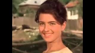 Un suras in plina vara