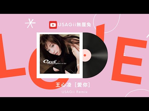 王心凌 Cyndi Wang - 愛你(USAGii無厘兔 remix)