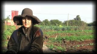 La ferme pédagogique de Dar Bouazza, Terre et Humanisme Maroc