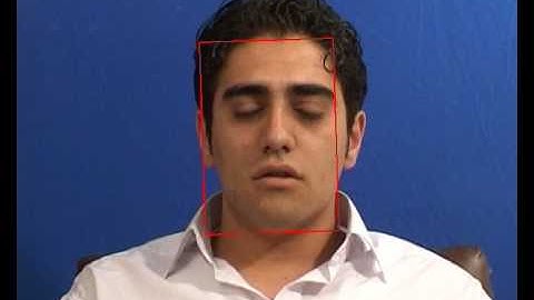 Human Face Detection and Tracking