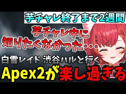 新作apexがご褒美すぎて芋チャレ中に始めたことを後悔する猫汰つな【猫汰つな/ぶいすぽ/切り抜き】