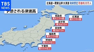 北海道～関東沿岸に大津波 政府想定で死者は最大約２０万人