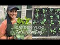 Plant collard greens broccoli kale and brussels sprouts with me  fall garden 2022  zone 8a