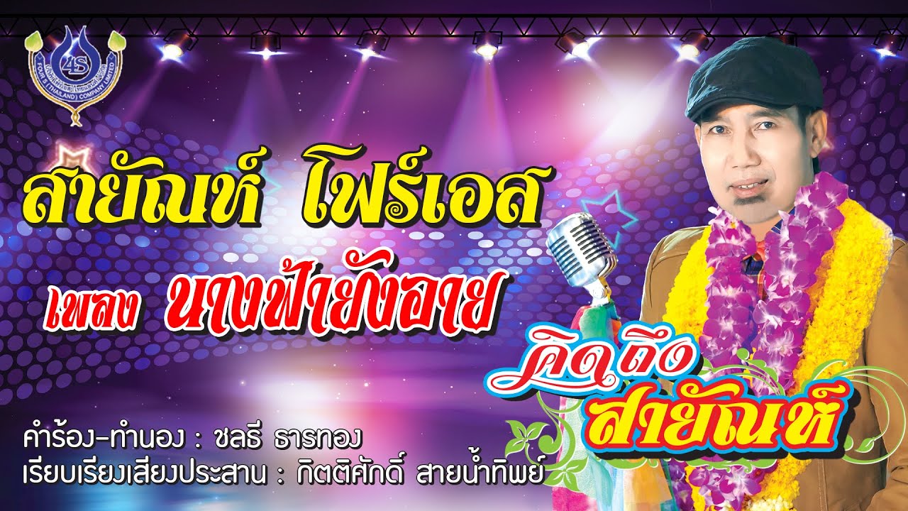 นางฟ้ายังอาย - สายัณห์ โฟร์เอส ชุด คิดถึงสายัณห์「Official MV」